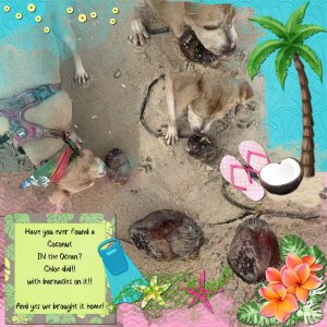 Vacay-Coconut.jpg