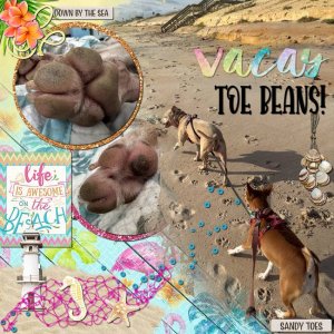 GS-PhotoCh-ToeBeans-Sept25.jpg