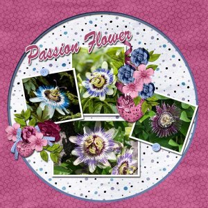 passion-flower-scrapbook-cr.jpg