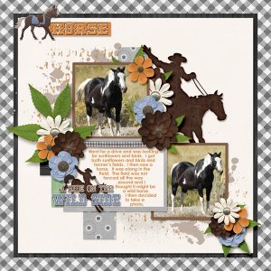 horse small.jpg