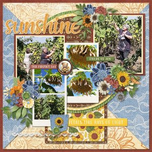 Sunflowers_ollitko_600.jpg