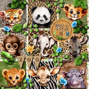It's A Zoo