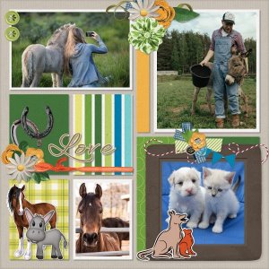 Pets love