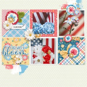 Red-White-and-Bloom.jpg