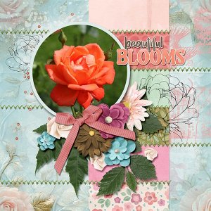 Beautiful blooms