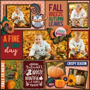 A Fine Autumn Day