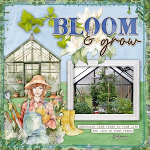 Bloom-and-grow.jpg