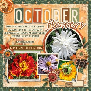 OctFlowers_ollitko_600.jpg