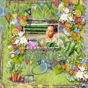 Colorful Garden