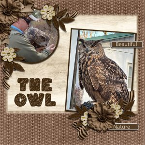 TheOwl