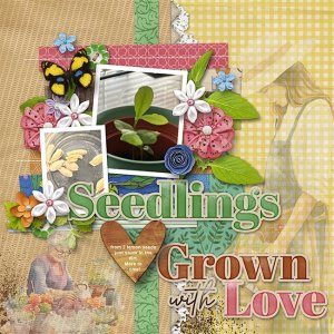 Lemon-tree-seeds-aimeeh_duality7_tmp1-copy.jpg