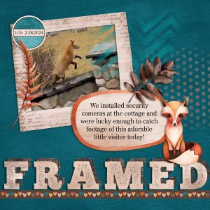 Framed.jpg