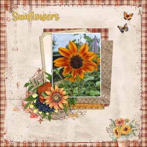 autumn bloom