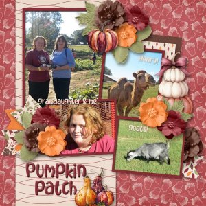 2025-09 Pumpkin Patch (800 x 800).jpg