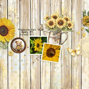 Sunflower-Fields.jpg