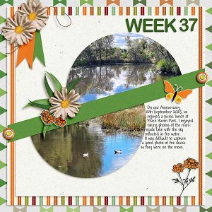 Project 52 Week 37
