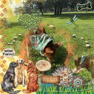 GS-CT-TBC-TheDogPark-001-Page-2.jpg