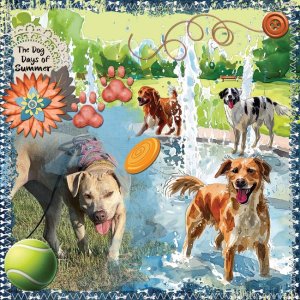 GS-CT-TBC-TheDogPark-002-Page-3.jpg