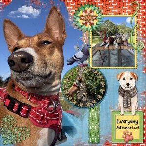 GS-CT-TBC-TheDogPark-003-Page-4.jpg