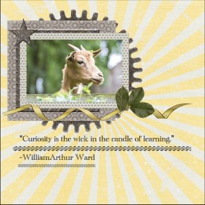 Sept. 2025 Quote Challenge-Curiosity.jpg