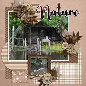 Nature.jpg