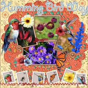 Sept.2025-Template Challenge #1-Humming bird way.jpg
