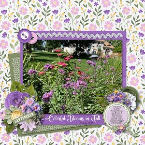 TColorful Blooms in September