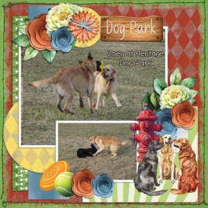 dog-park-brit-chickTinci_20.jpg