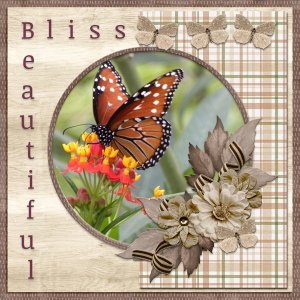 BEAUTIFUL BLISS