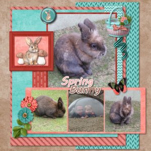 Spring Bunny