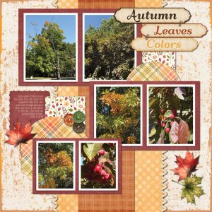 Early Signs of Fall 9-15-25