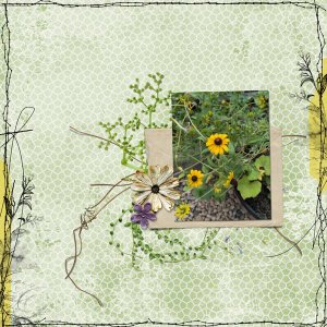 wildflower box