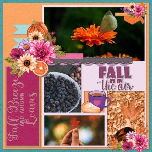Fall.jpg