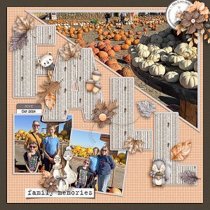 pumpkin-patch.jpg