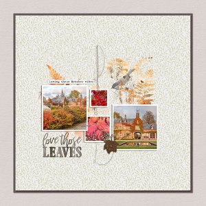Love the leaves