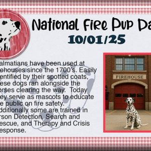 ATC-2025-100-National-Fire-Pup-Day