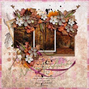 Nature in Autumn