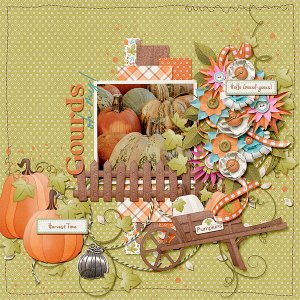 Gourds, Oh My!