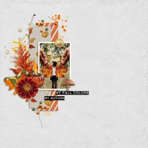 My Fall Colors