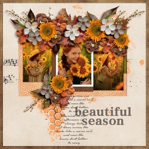 Nature In Autumn