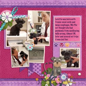 Trip-to-the-vet-the-jive-five-vol-10-3-2016.jpg