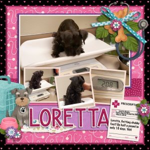 Trip-to-the-vet-White-Space-vol-106-1-2016.jpg