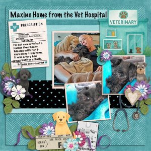 Trip-to-the-vet-bundle-and-template-1-2024.jpg