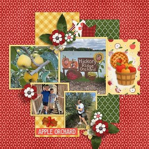 Apple-Ordchard-web.jpg