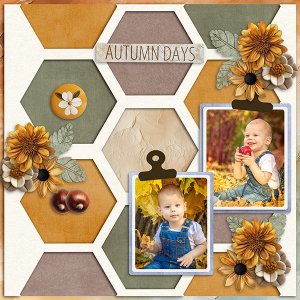 Autumn Leaves.jpg