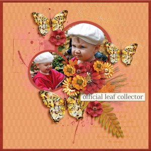 Official-Leaf-Collector