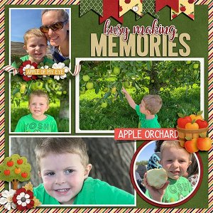 Apple-Orchard.jpg