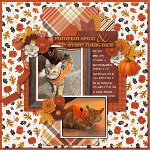 Pumpkin Spice & Everything Nice.jpg