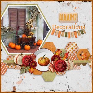 pieces-of-autumn-angelle-MF.jpg