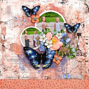 Wish-big.jpg